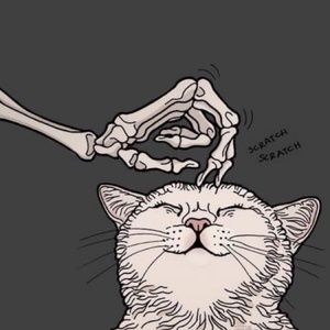 Meet your Posher, Xsara